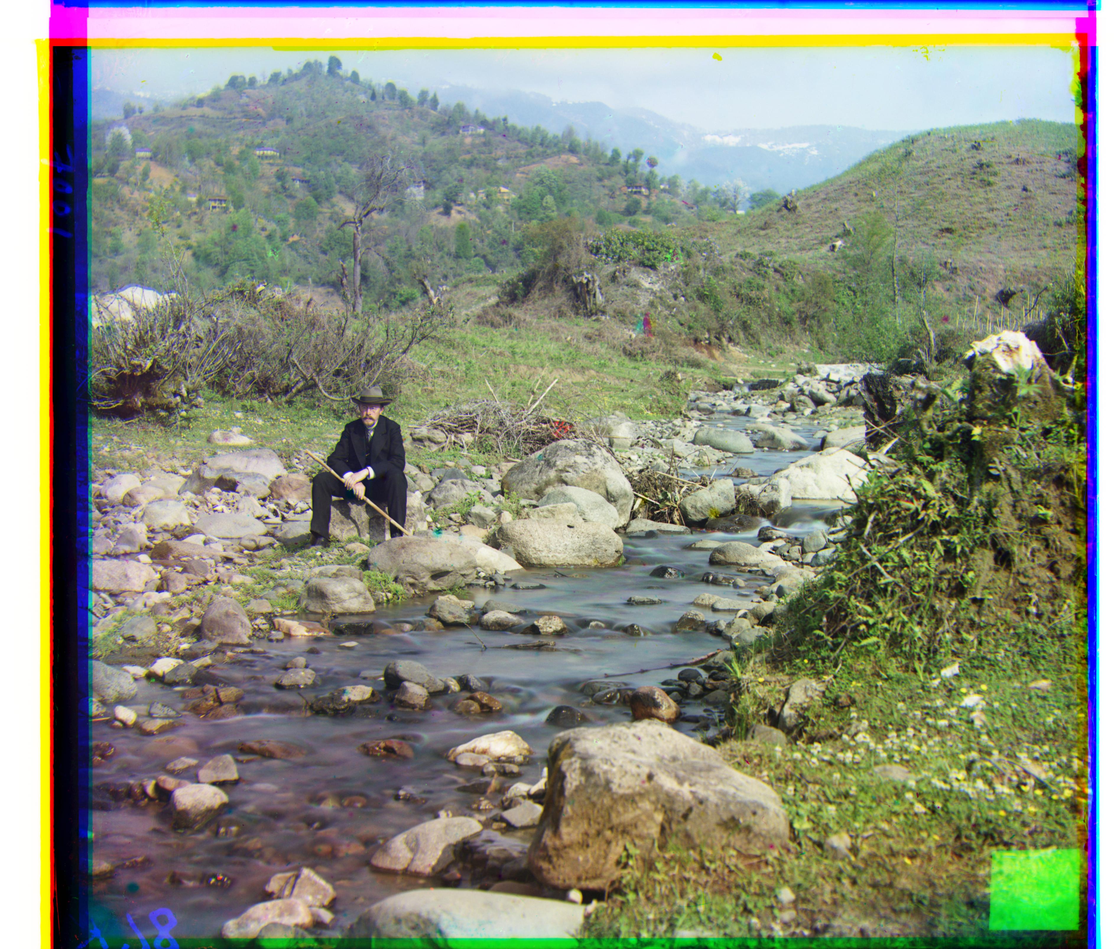 Self Portrait cropped