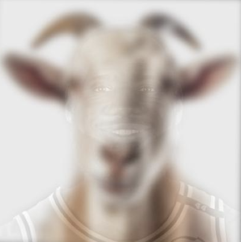 Hybrid LeBron + Goat image