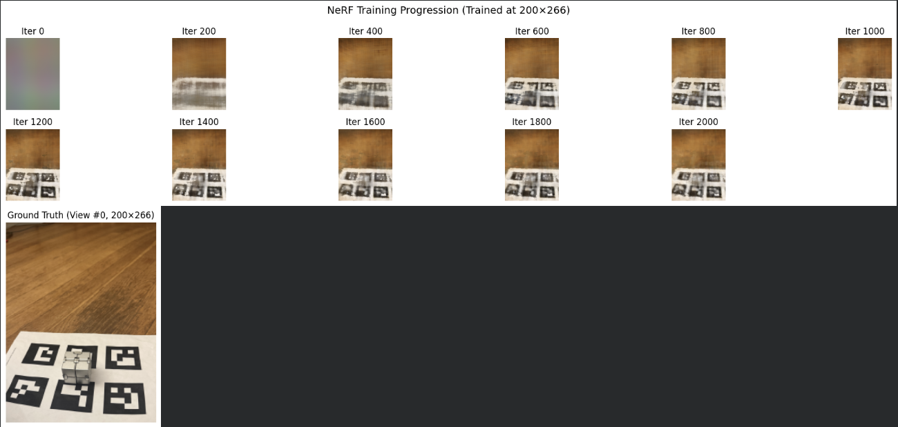 Training Progression