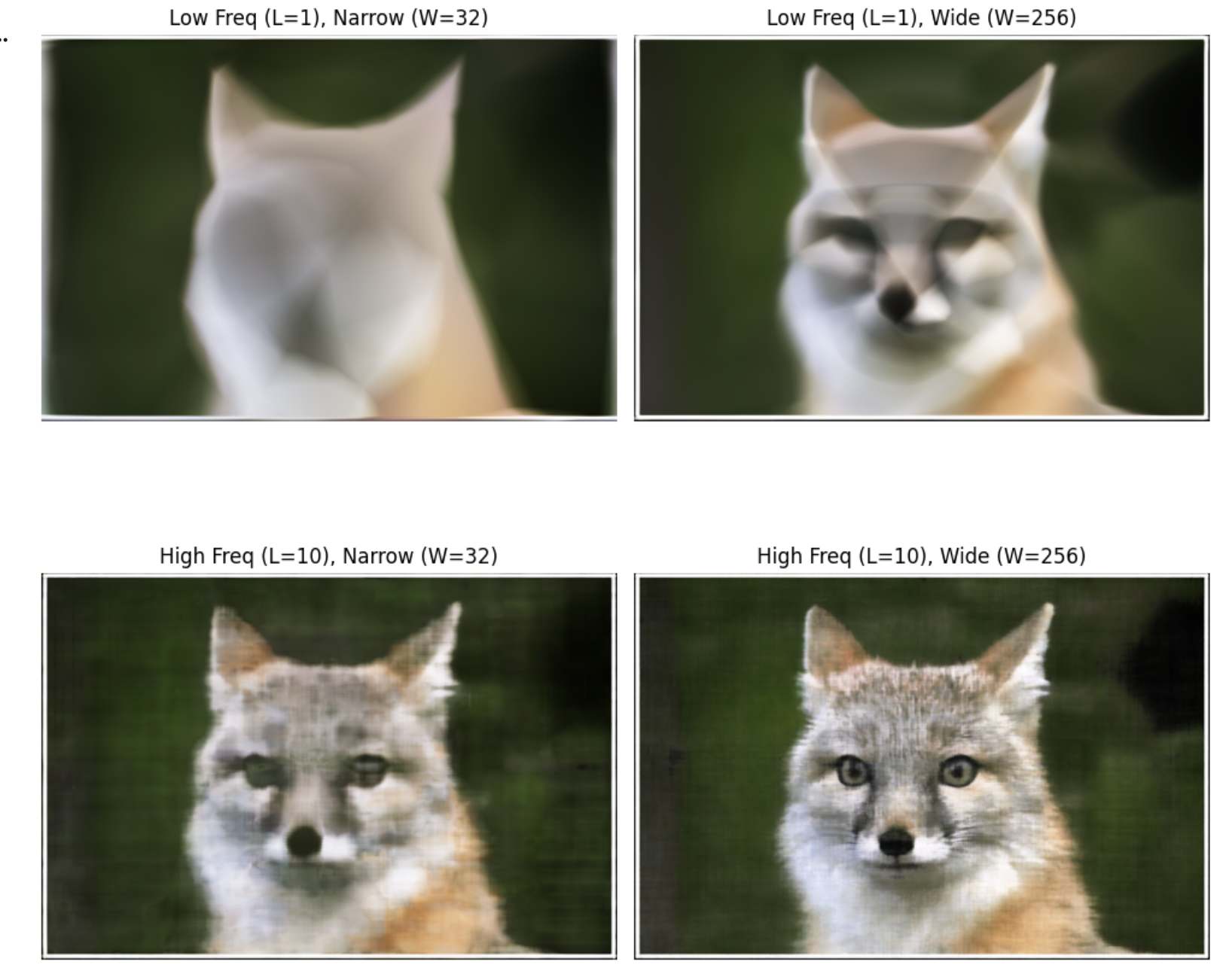 Fox Hyperparameter Sweep