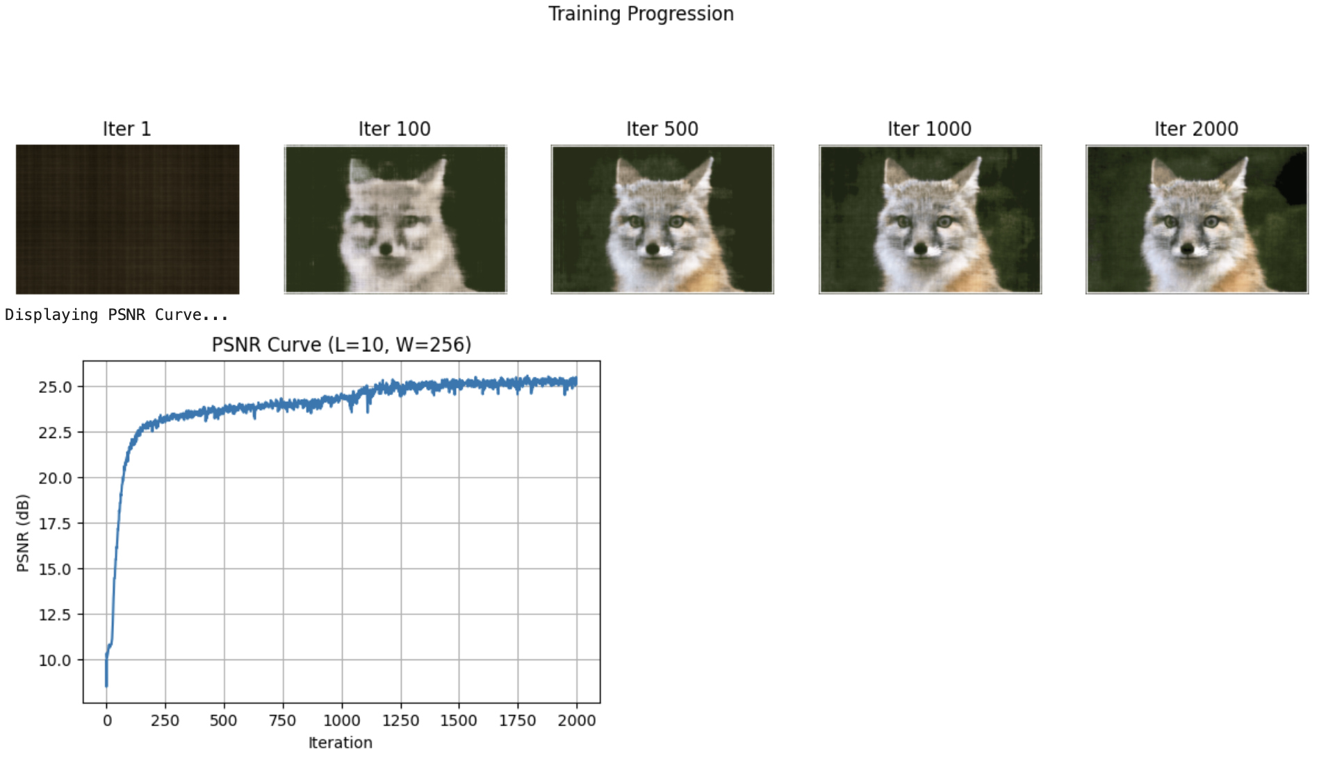 Fox Training Progression