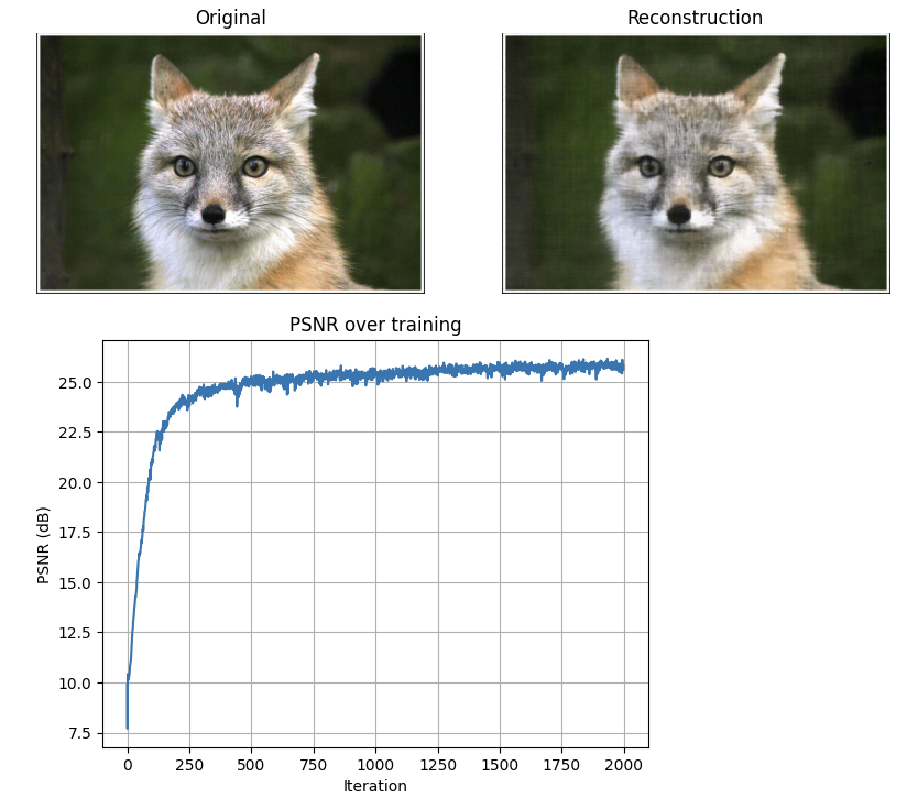 Fox Training Comparison